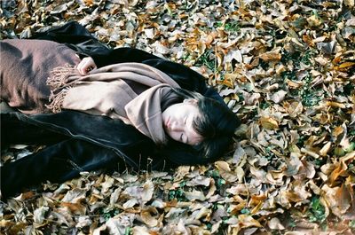 Close-up of man sleeping on dry leaves