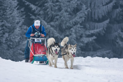 View of dog standing on snow