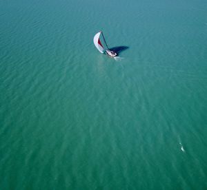 High angle view of person swimming in sea