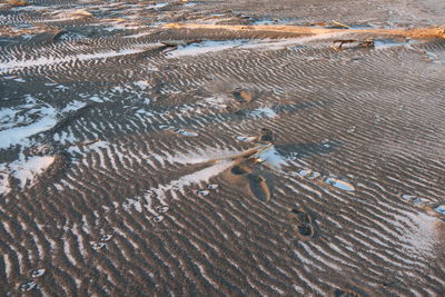 Full frame shot of sandy beach