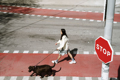 Mid adult woman crossing street with labrador retriever
