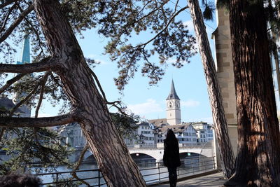 Rear view of woman looking at buildings