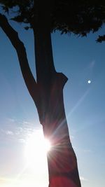 Low angle view of silhouette hand against bright sun