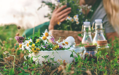 Midsection of woman holding potted plant on field