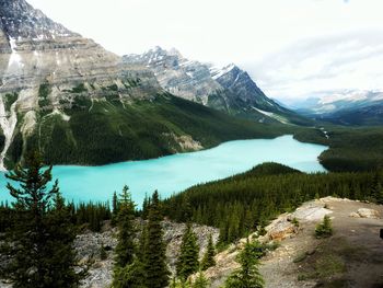 Scenic view of trees and mountains against sky