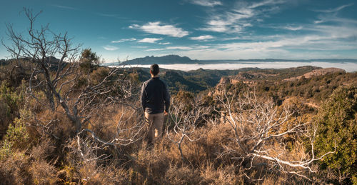 Rear view of man standing on land against sky