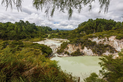 Scenic view of river amidst trees against sky