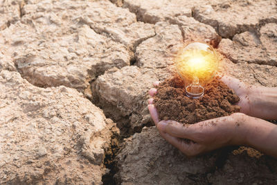 High angle view of person hand holding illuminated bulb and mud over barren land