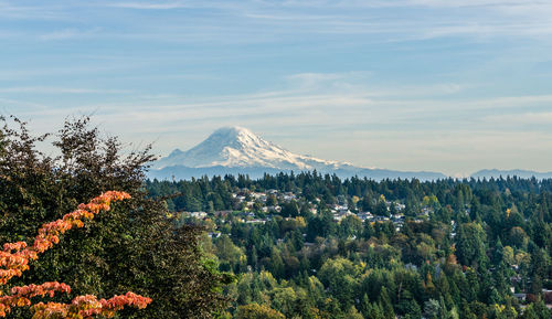 Panoramic view of trees and mountain against sky