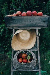 Apples in crate against plants