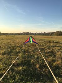 Trees on field against blue sky