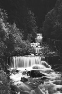 Scenic view of waterfall in forest