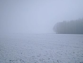 Scenic view of trees against clear sky during winter