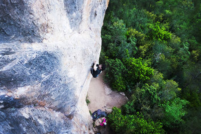 High angle view of man climbing on rock against trees