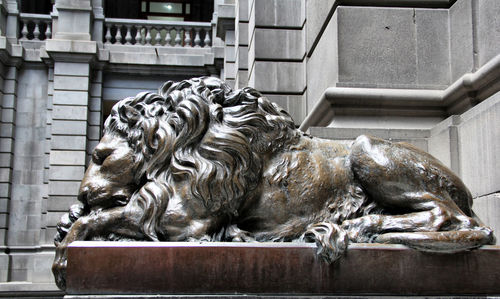 Lion sculpture against building