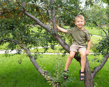 Portrait of happy boy smiling on tree