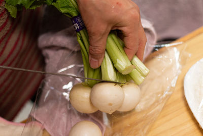 Close-up of hand holding vegetables