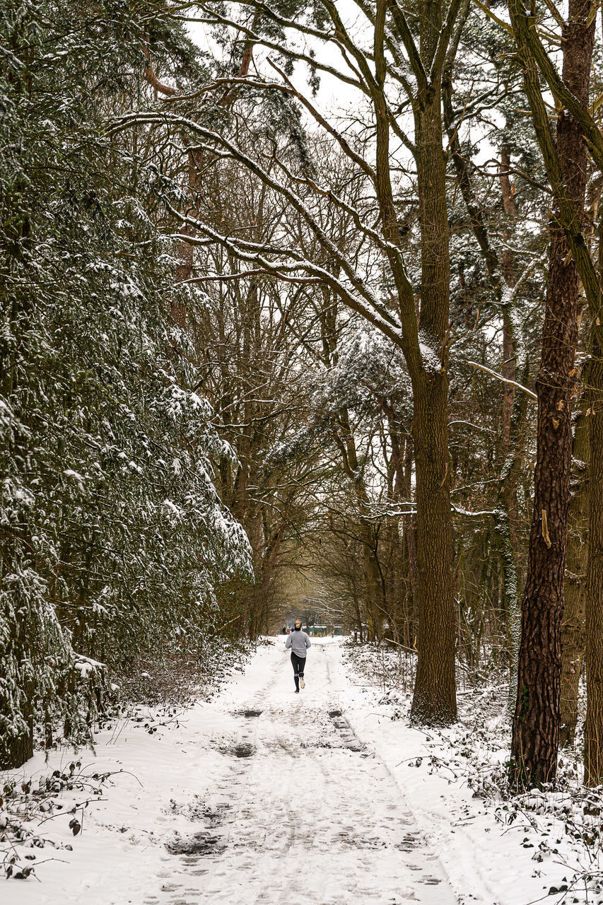 REAR VIEW OF PERSON WALKING ON SNOW COVERED FIELD