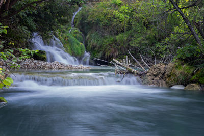 Scenic view of waterfall in forest