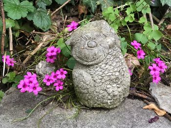 Close-up of statue against plants