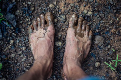 Low section of man standing on beach