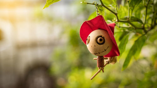 Close-up of red toy hanging on tree