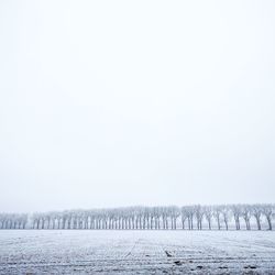 Scenic view of agricultural field during winter