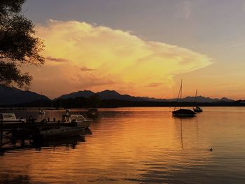 Sailboats moored in marina at sunset