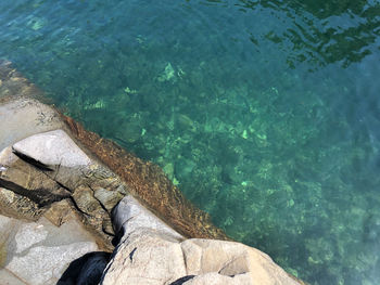 High angle view of rock formation in sea