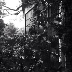 View of built structure with trees in background