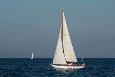 Sailboat sailing on sea against clear sky