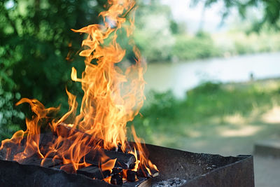 Close-up of bonfire 