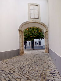 Archway leading to built structure