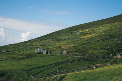 Scenic view of green landscape against sky