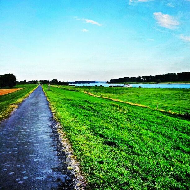 grass, tranquil scene, landscape, tranquility, field, green color, scenics, sky, blue, beauty in nature, nature, grassy, the way forward, rural scene, diminishing perspective, road, growth, green, idyllic, water