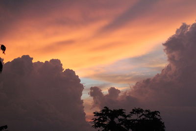 Silhouette trees against sky during sunset