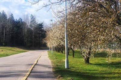 Road amidst trees against sky