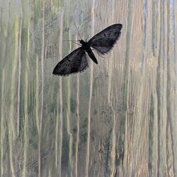 Butterfly perching on a tree