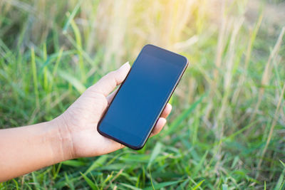 Cropped image of person holding smart phone over grass field