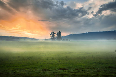 Scenic view of field against sky during sunset and fog