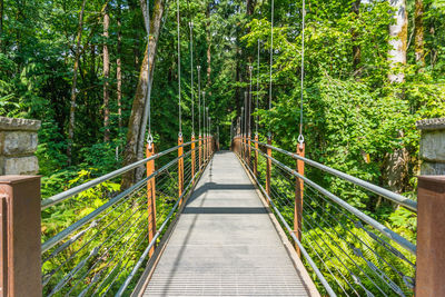 Footbridge amidst trees in forest