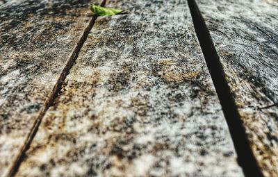 Close-up of wood