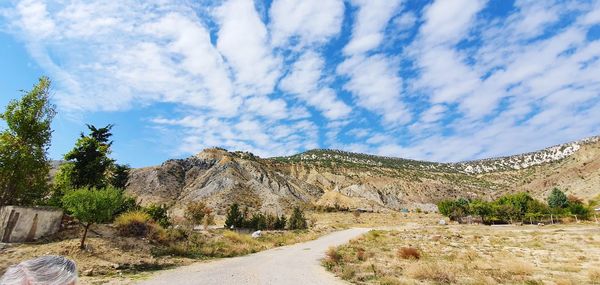 Scenic view of road amidst trees against sky