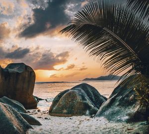 Scenic view of beach against sky during sunset