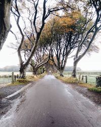 Empty road along trees