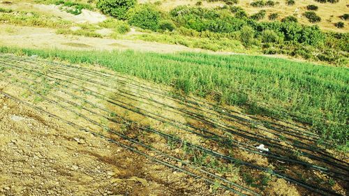 Full frame shot of farm