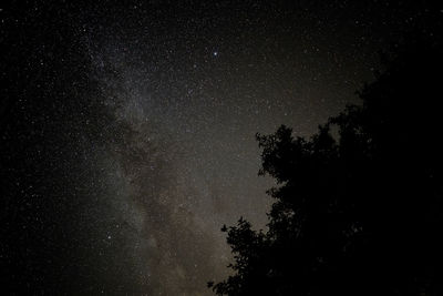 Low angle view of silhouette trees against sky at night