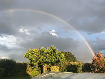 Rainbow over trees against sky