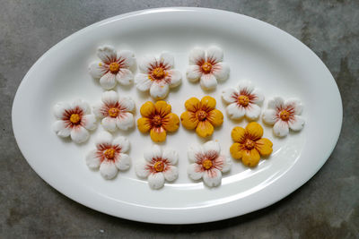 High angle view of white flowering plants in plate