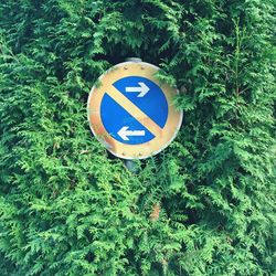 Road sign against trees